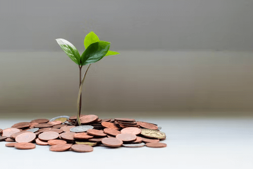 asp dot net Cost Effectiveness